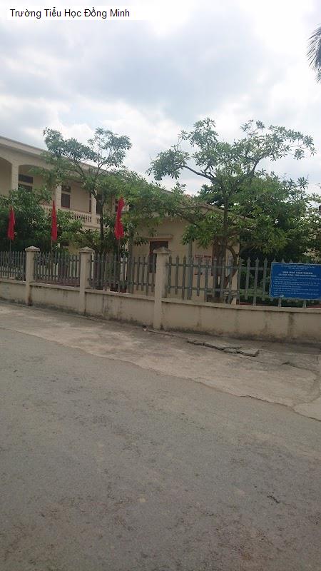 Trường Tiểu Học Đồng Minh