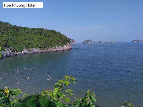 Hình ảnh Hoa Phuong Hotel