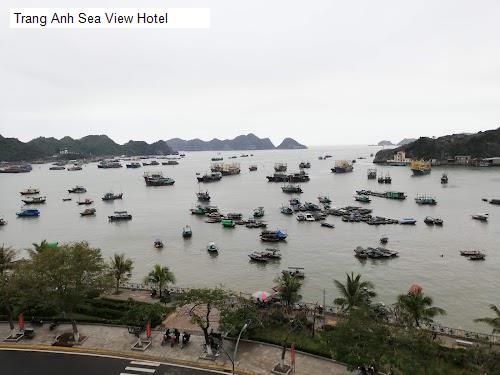 Nội thât Trang Anh Sea View Hotel