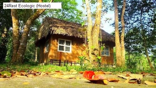 24Rest Ecologic (Hostel)