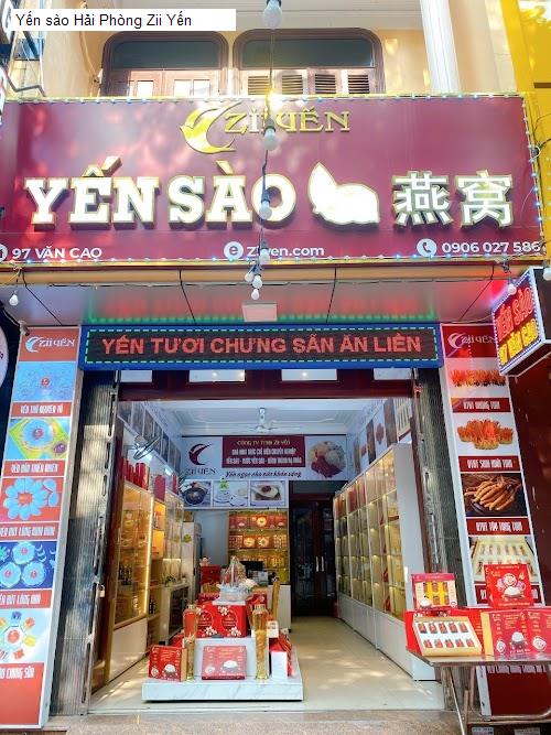 Yến sào Hải Phòng Zii Yến